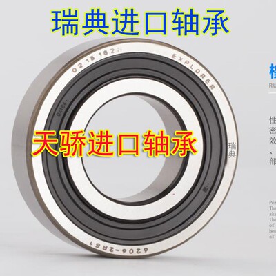 瑞典进口轴承6006 6007 6008 6009 6010-2Z/C3 2RS1 RSH C3高速
