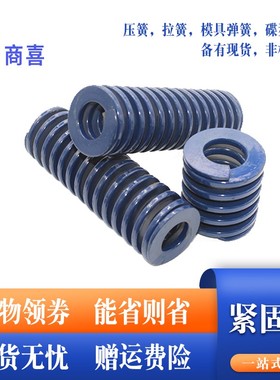 蓝色轻负荷模具弹簧.矩形模具弹簧TL10*5*15 20 40 75 80 90 100