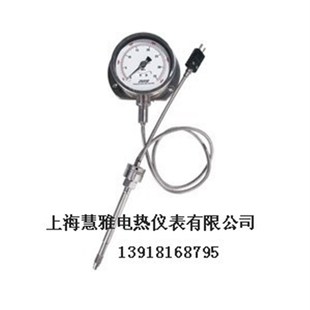 高温熔体压力表 PT124B-615