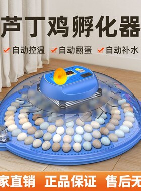 小飞碟孵化器小型家用型全自动智能孵蛋器鸡鸭芦丁鸡孵化机孵化箱