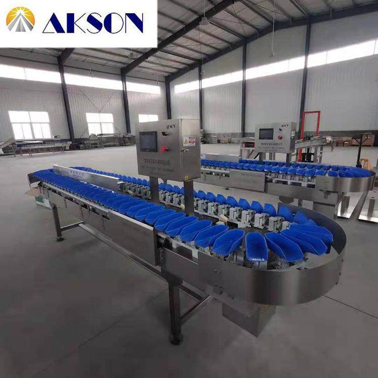 爱克森生鸡翅禽肉类托盘式重量分选机拣选机牡蛎,工业油品/胶粘/化学/实验室用品,其他实验室设备,淘宝优惠券,粉丝福利购,淘宝优惠卷