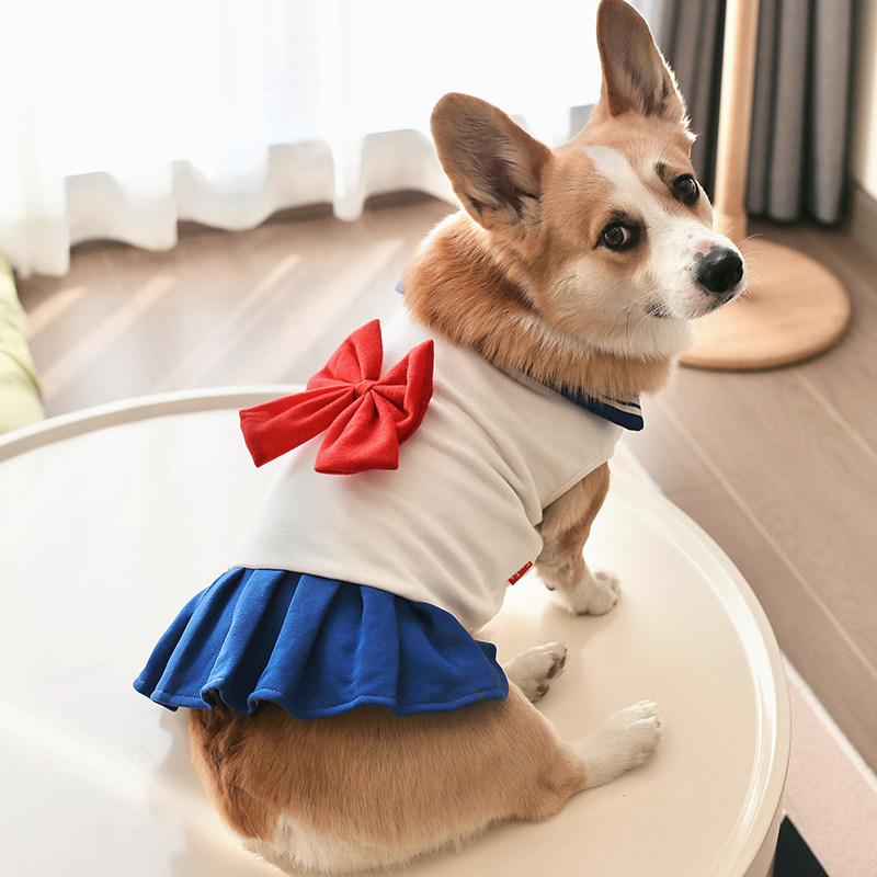 宠物无袖裙子胖狗狗衣服春夏薄款学院风美少女背心裙柯基狗中型犬