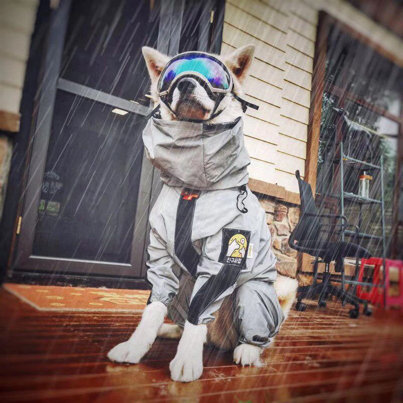 狗狗雨衣大型犬雨披金毛边牧狗狗雨衣四脚防水全包围狗狗雨天衣服