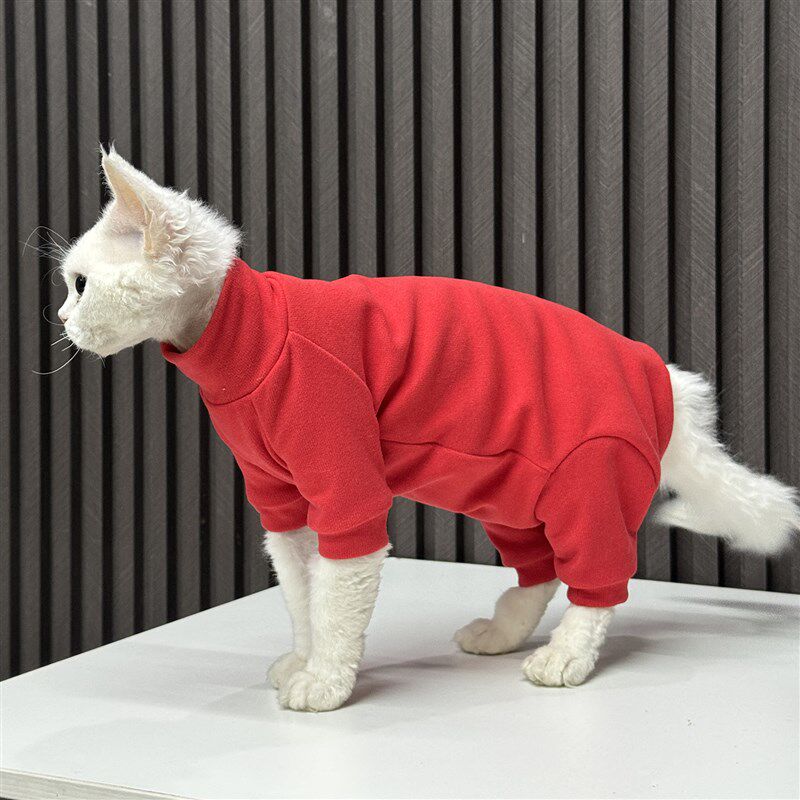 春节喜庆过年大红四脚衣纯棉任发财德文猫无毛猫衣服斯芬克斯猫