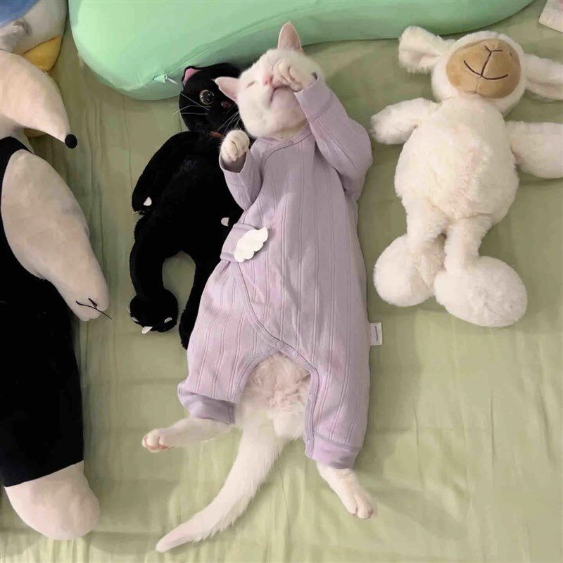 宠物猫咪衣服防掉毛四季通用小猫幼猫连体保暖服装小型犬狗狗衣服