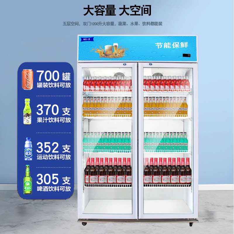 商用大容量饮料柜立式p啤酒柜冰柜玻璃单双三门超市保鲜冷藏展示