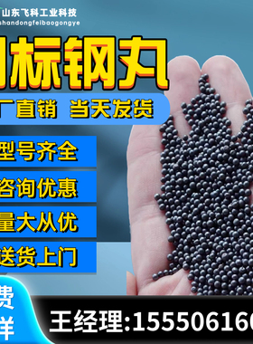 国标钢丸钢砂钢丝切丸不锈钢丸抛丸机钢丸抛丸喷S砂合金强化铸钢