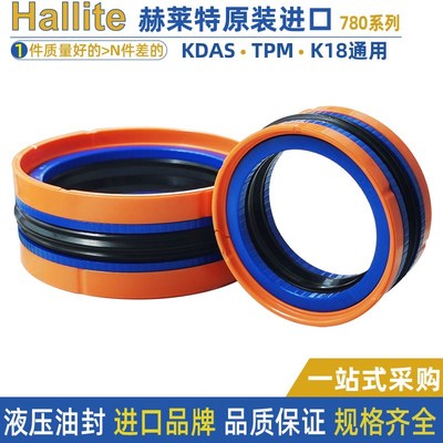 好莱特hallite密封圈KDAS进口活塞油封H780-170*145/175*150 50.8