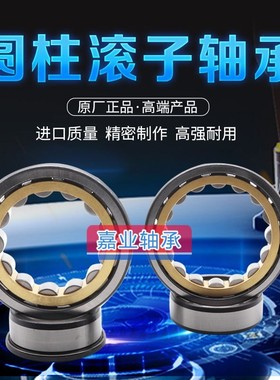 洛阳圆柱滚子轴承N NU NJ NUP 316 317 318 319 320 322 324EM/C3