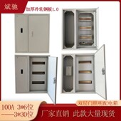 致业双层门总制加漏电空气开关C45配电箱外壳工厂用PZ30分线器盒