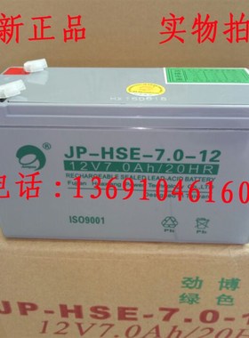 原装正品海康威视 DS-19A08-01BN总线式网络报警主机蓄电池