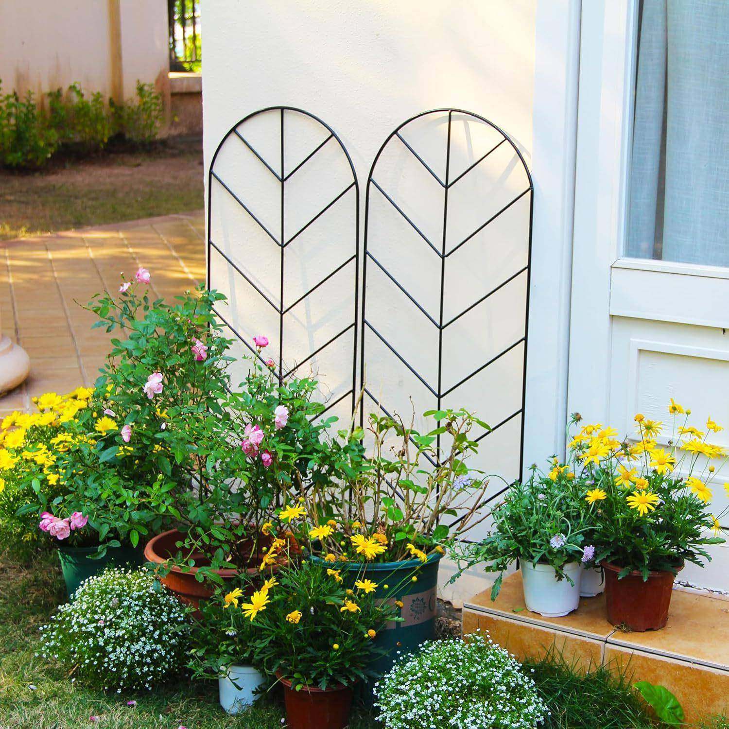 铁艺物骨铁线DY-2252爬藤架，小形藤蔓植攀爬鱼架，铁线格子庭院,鲜花速递/花卉仿真/绿植园艺,花架,淘宝优惠券,粉丝福利购,淘宝优惠卷