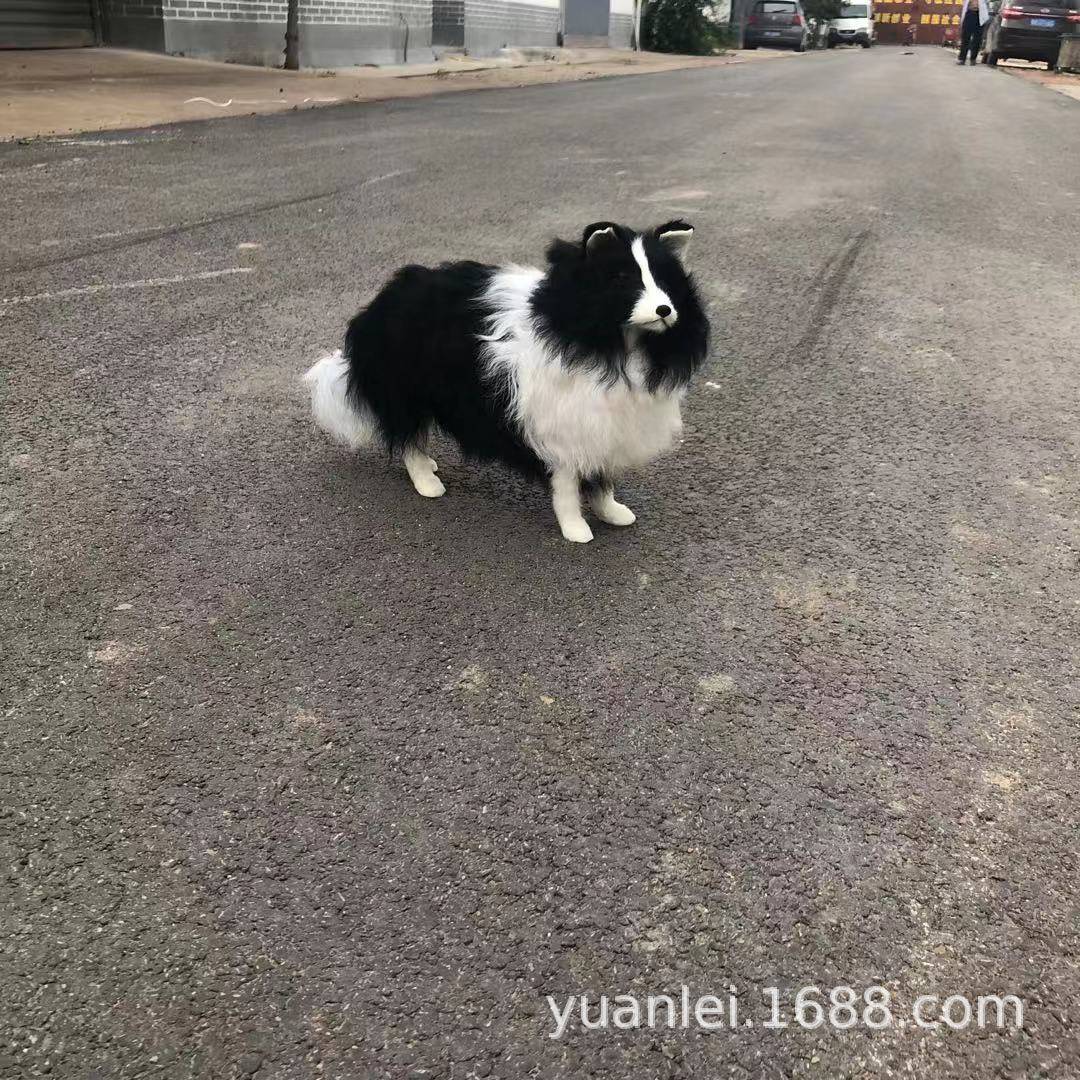 仿真边境牧羊犬黑白狗宠物用品摆件宠物服装道具儿童玩具摆件
