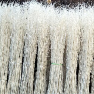 天然龙柳干枝曲柳树枝龙桑玄关隔断橱窗落地装饰白色W干花婚庆拱