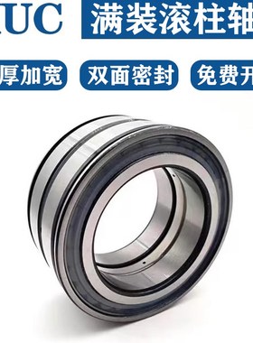 重载满滚柱圆柱滚子轴承NNCF/SL185004 5005 5006 5007 5008 5009