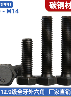 12.9级外六角螺丝钉M10M12M14 高强度加长六角全牙螺栓*20x25-120