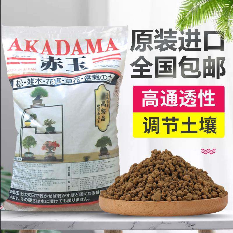 ZSO赤玉土肉扦营多养土兰花铺盆景种植鱼缸造景面插颗粒土园艺