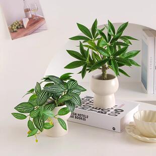 仿真花小摆件盆栽桌面发财树仿真绿植办公室假花装饰客厅仿生