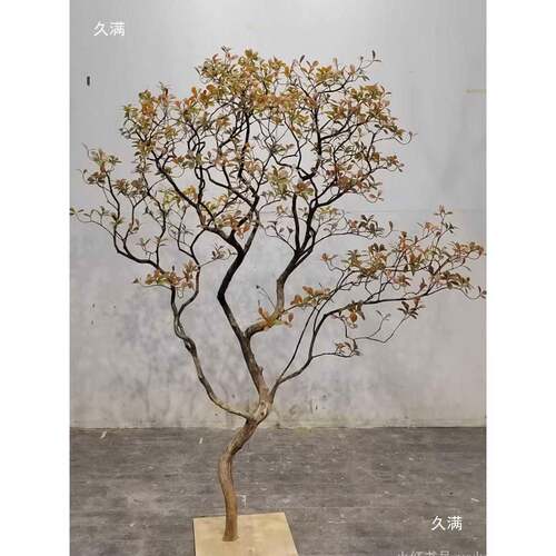 室内造景树马醉木枫树海岛春花假树酒店餐厅橱窗楼梯绿植