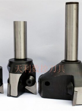 90度可转位立铣刀 硬质合金可转位立铣刀25 35 36 45 80-200mm