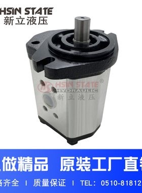 齿轮泵BHP2.5A1D45C2F1/D14/D16/D18/D20/D25/D28/D30/D36/40C2F1