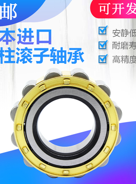 日本XUDZ 进口圆柱滚子轴承RN304 305 306 307 308 309 310EM/P5