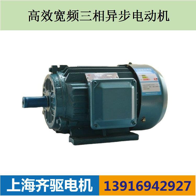 上海齐驱宽频调速三相异步电机7.5W-6极高效宽频三相异步电动机