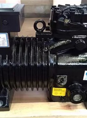 DKSJP-15X-EWL DLLE-20全新德国谷轮半封闭压缩机DLFE-30X