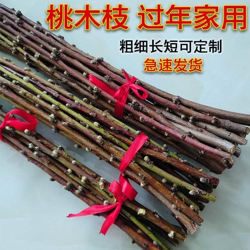 东南老桃木镇宅原木桃枝桃树枝婴儿护身桃木枝挂件护身枝条棍野生