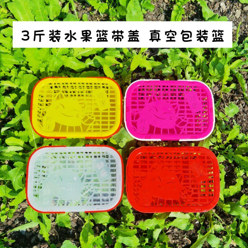 T塑料水果篮子带盖草莓筐杨梅篮桑葚葡萄果园手提篮白色新料水果