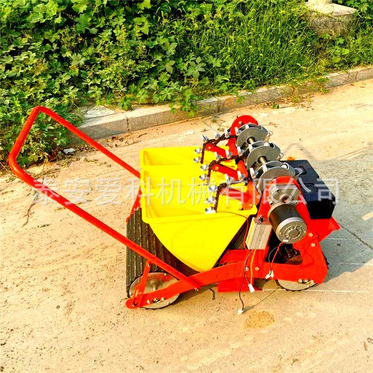 大蒜播种机栽蒜机1行2行3行电动手推大蒜播种机株距行距可调
