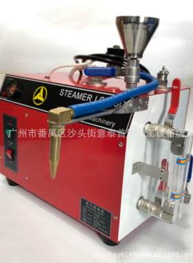 6升蒸汽机清洗机珠宝彩宝钻石金银铜首饰加工清洗器材机器工具