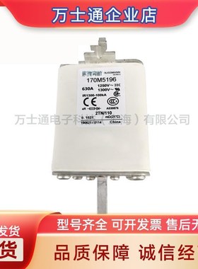 170M5196 170M5248 智能跌落式低压快速熔断器 全新原装 量大从优