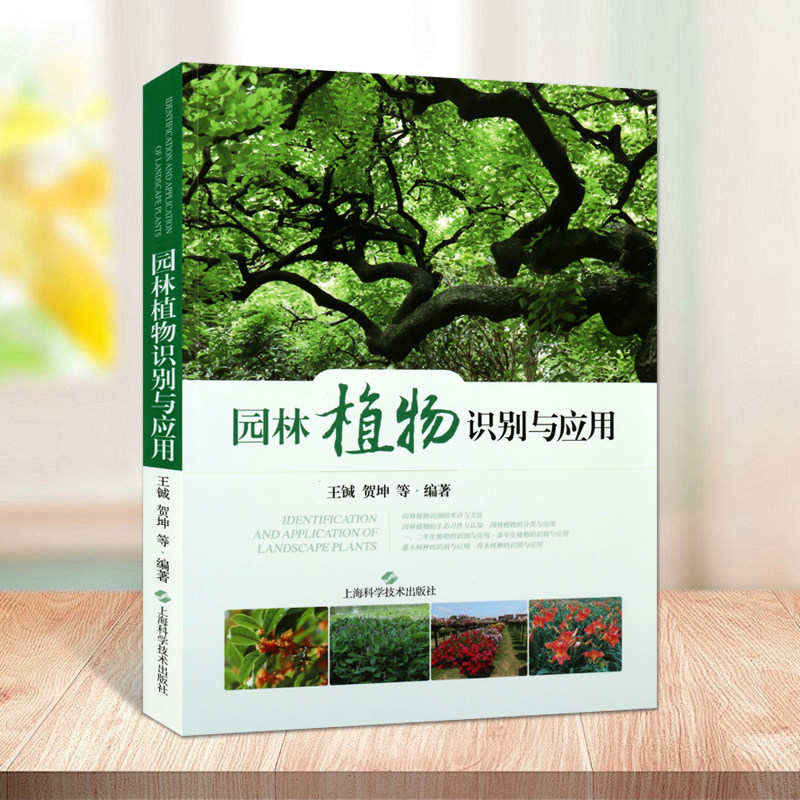 园林植物识别与应用王铖观赏园艺绿化规划景观设计应用研究上海科学技术出版社