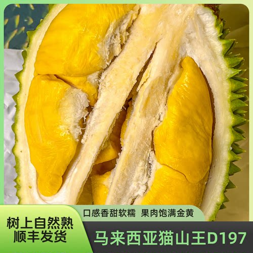 【猫山王D197+D200福利尝鲜组合】到手2颗马来鲜果榴莲顺丰空运