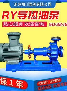 RY导热油泵高温输送管道油泵高温输送RY50-32-160型导热油泵3千瓦