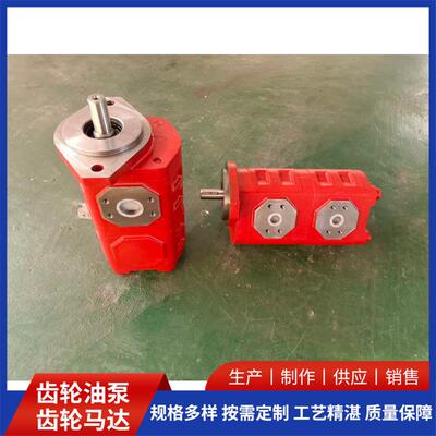 上海打桩机双联泵CBGJ1020/1020生产厂家多种泵型齿轮油泵