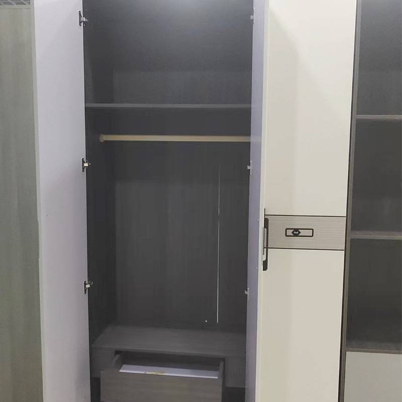 家用小户型卧室对开门衣柜出租房简易储物收纳大衣橱版式组合衣柜