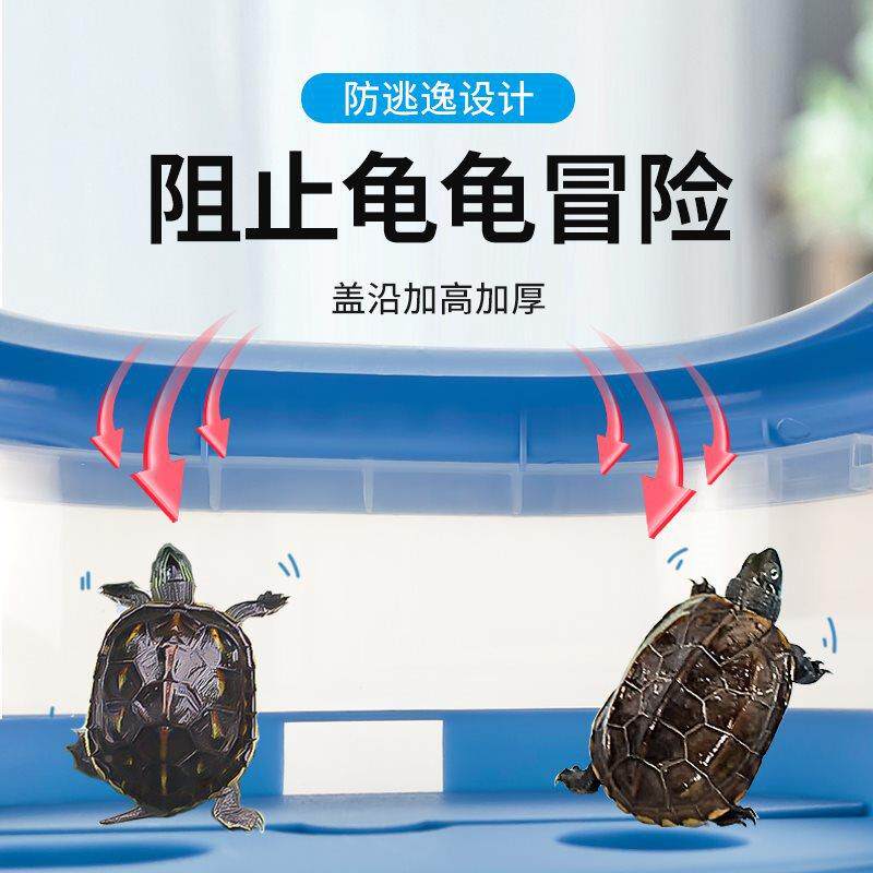 龟缸晒缸台造景别墅乌饲养箱生态缸龟箱生态PIU瓶带创意缸微景小