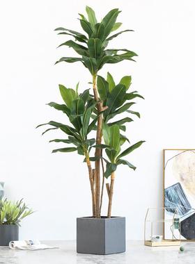 罗曼妈11394现代简约风仿植盆栽天鹅绒假绿植盆景妈室内真物落地