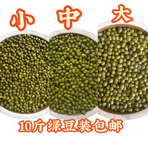 10斤装大中小颗粒绿豆东北农家绿豆新货颗粒饱满解暑绿豆汤绿豆糕