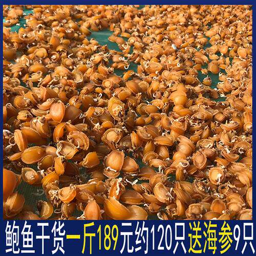 送海参鲍鱼干一斤500g大连黄金干鲍仔迷你礼盒装货煲粥炖汤非即食
