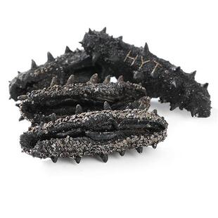 海晏堂1级净制速发淡干海参50g简装大连辽参海渗干货官方经营店