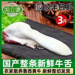 黄牛舌整根牛舌头牛口条牛杂火锅烧烤冷冻舌根国产生鲜烤肉食材