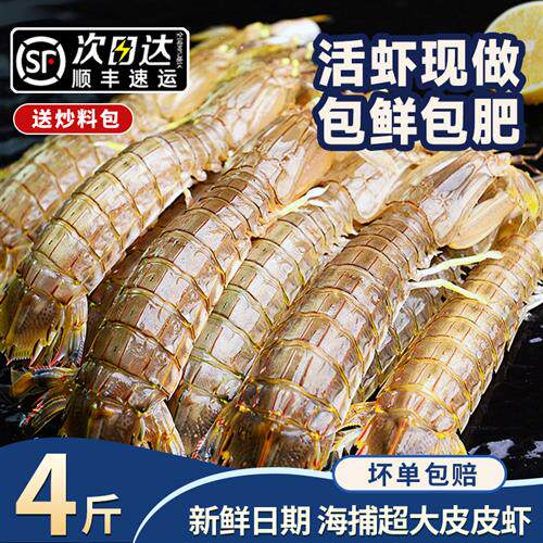 皮皮虾鲜活特大冷冻新鲜虾爬子海虾富贵虾椒盐即食濑尿虾海鲜水产