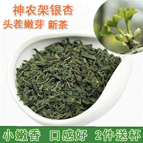 神农架特产银杏叶茶 头茬银杏嫩芽茶 白果树叶已脱毒 250克包邮