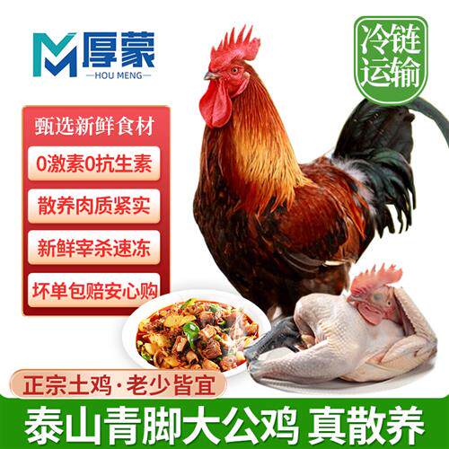 厚蒙青脚大公鸡土鸡农家林间散养鸡整祇顺丰发货