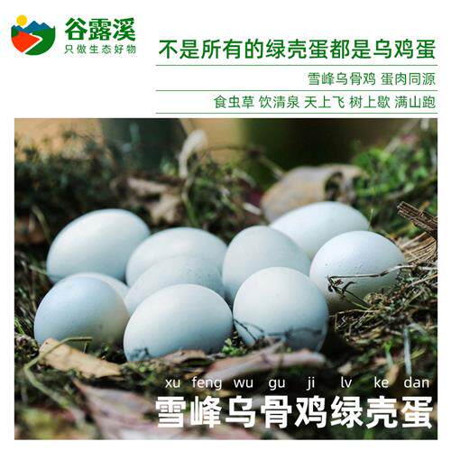 湖南武陵山雪峰乌鸡蛋生态含硒绿壳农家散养跑山土鸡草鸡蛋月子蛋