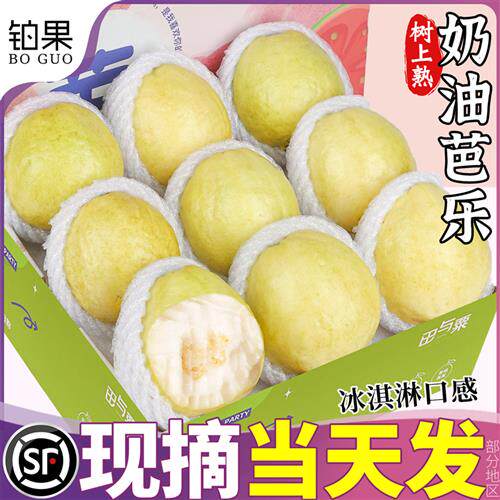 顺丰10斤白心软芭乐水果新鲜包邮番石榴低糖奶油鲜果福建当季整箱