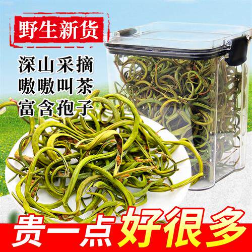 长白山野生肾精茶化石草支棱草猫须草东北黄金草嗷嗷叫官方经营店